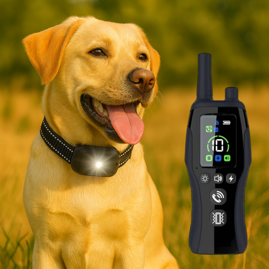 Hundehalsband mit Vibration Ton und Licht zur Erziehung | Dognalo