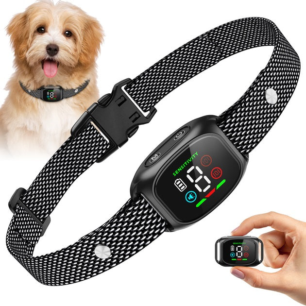 Hundehalsband mit intelligenter Bell-Erkennung und Vibrationsfunktion | Darwin