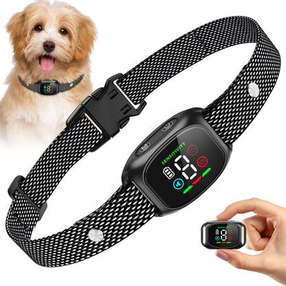 Hundehalsband mit intelligenter Bell-Erkennung und Vibrationsfunktion | Darwin