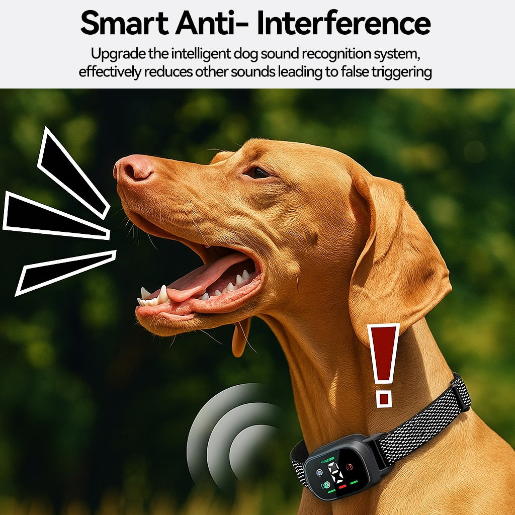 Hundehalsband mit intelligenter Bell-Erkennung und Vibrationsfunktion | Darwin