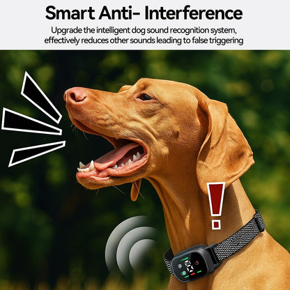 Hundehalsband mit intelligenter Bell-Erkennung und Vibrationsfunktion | Darwin