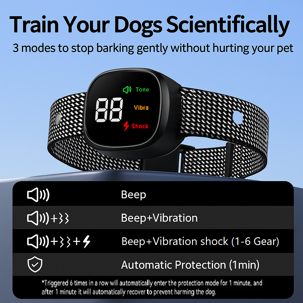 Hundehalsband mit intelligenter Bell-Erkennung und Vibrationsfunktion | Darwin