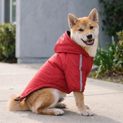 Hundejacke Winter Wasserabweisend mit Kapuze und Reflektoren