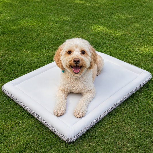 Hundekuehlmatte atmungsaktiv mit Nackenstuetze fuer Sommer | Rixora
