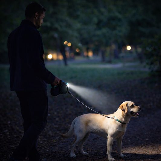 Hundeleine ausziehbar mit LED-Licht für Abendspaziergänge  LumioLine