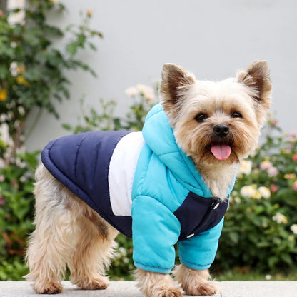 Hundemantel Gefüttert mit Kapuze für den Winter