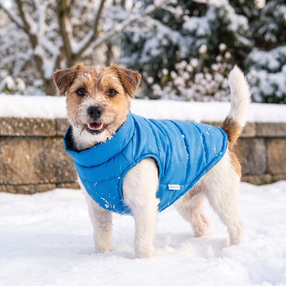 Hundemantel Gepolstert mit Leinenringen für den Winter