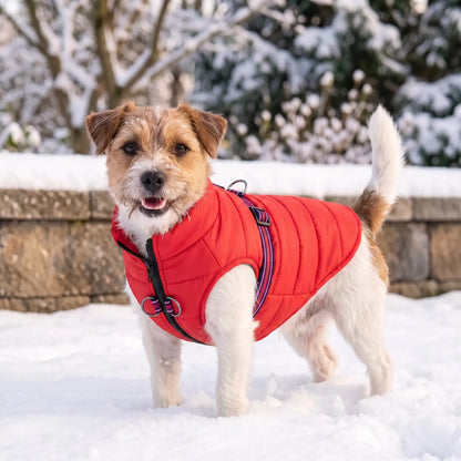 Hundemantel Gepolstert mit Leinenringen für den Winter