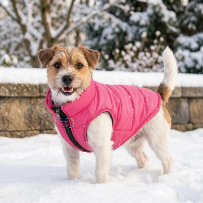 Hundemantel Gepolstert mit Leinenringen für den Winter