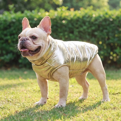Hundemantel Gesteppt für Herbst und Winter