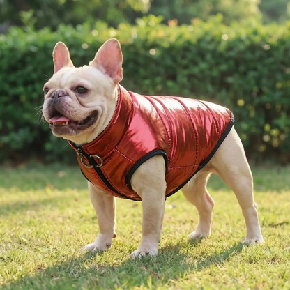 Hundemantel Gesteppt für Herbst und Winter