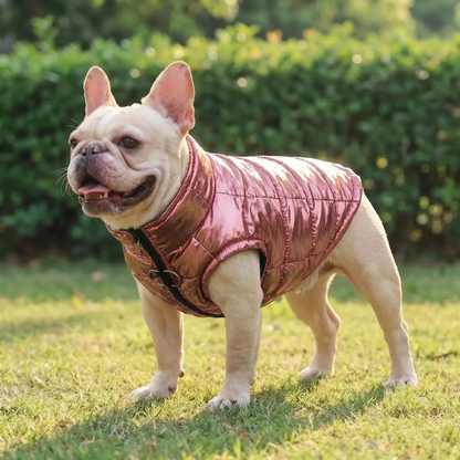Hundemantel Gesteppt für Herbst und Winter