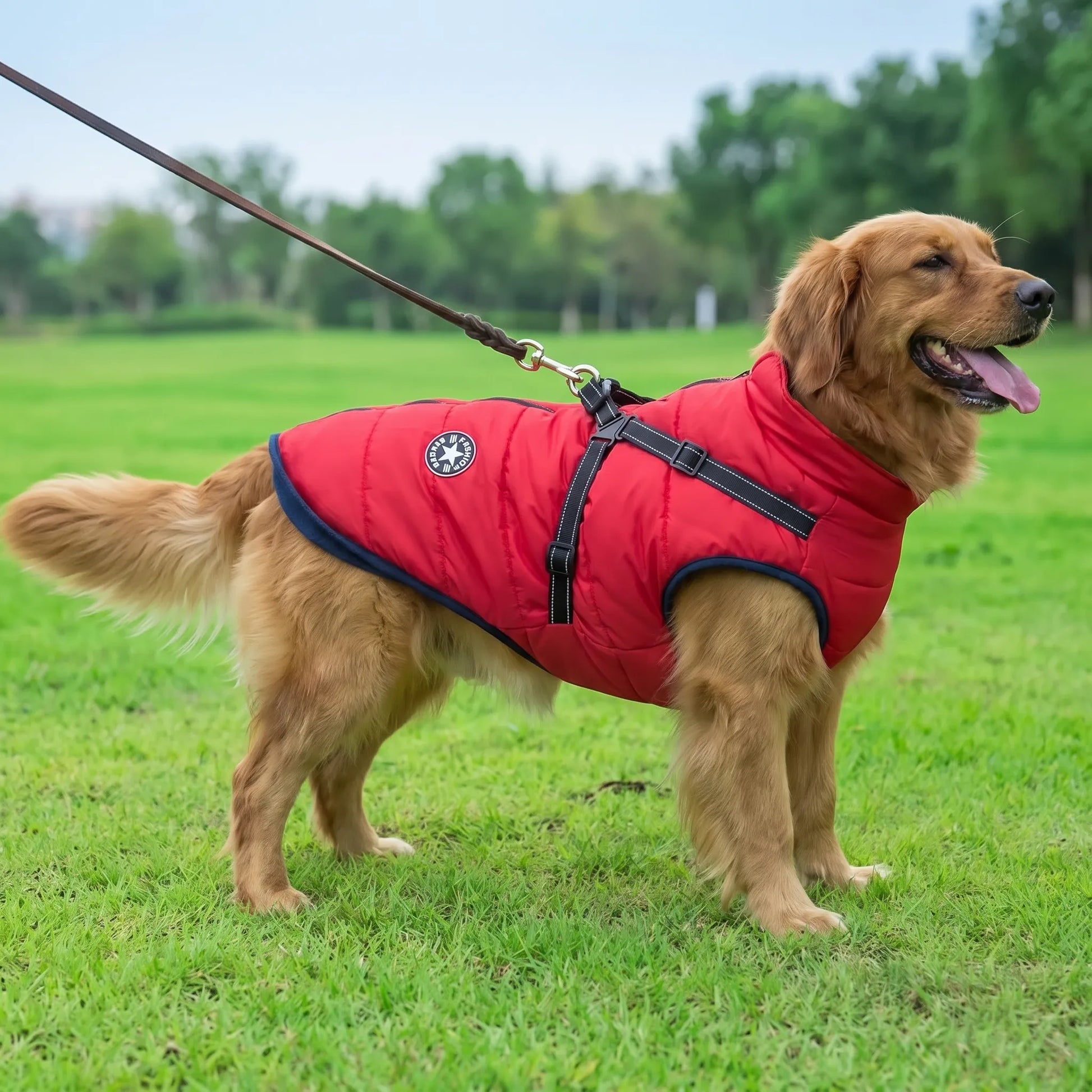 Hundemantel Winter mit integriertem Geschirr warm gefüttert