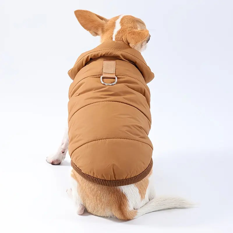 Hundemantel mit Druckknöpfen und wasserabweisendem Stoff | Sibylla