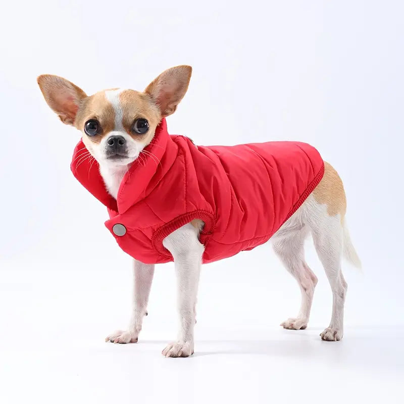 Hundemantel mit Druckknöpfen und wasserabweisendem Stoff | Sibylla