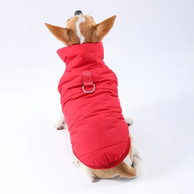 Hundemantel mit Druckknöpfen und wasserabweisendem Stoff | Sibylla