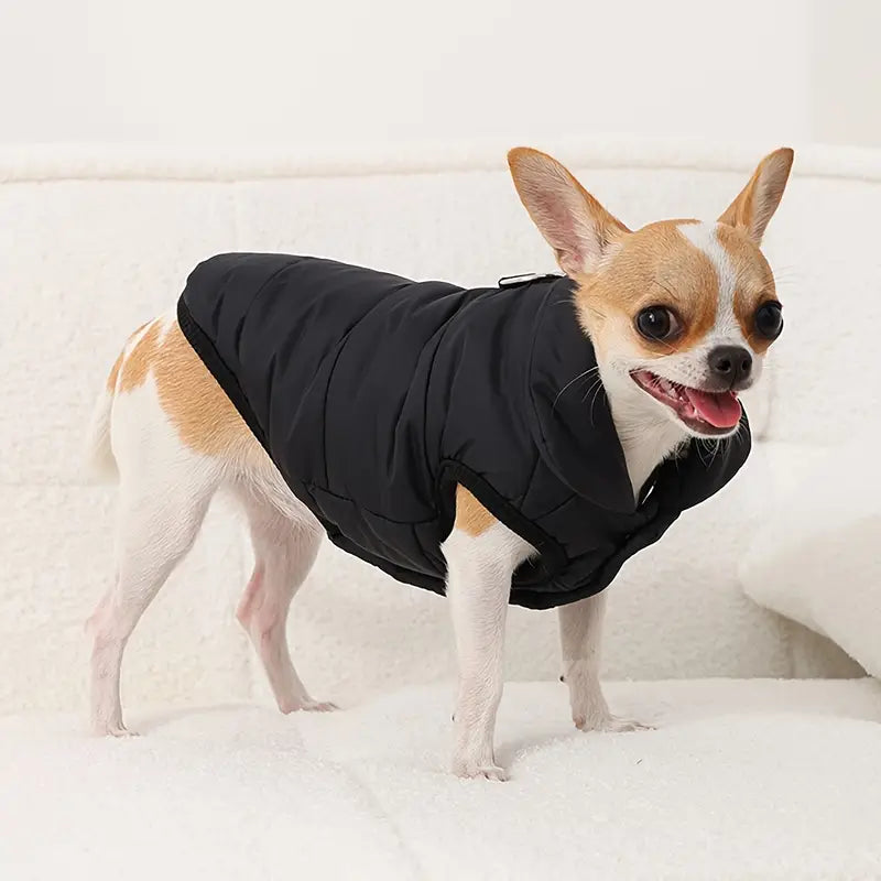 Hundemantel mit Druckknöpfen und wasserabweisendem Stoff | Sibylla