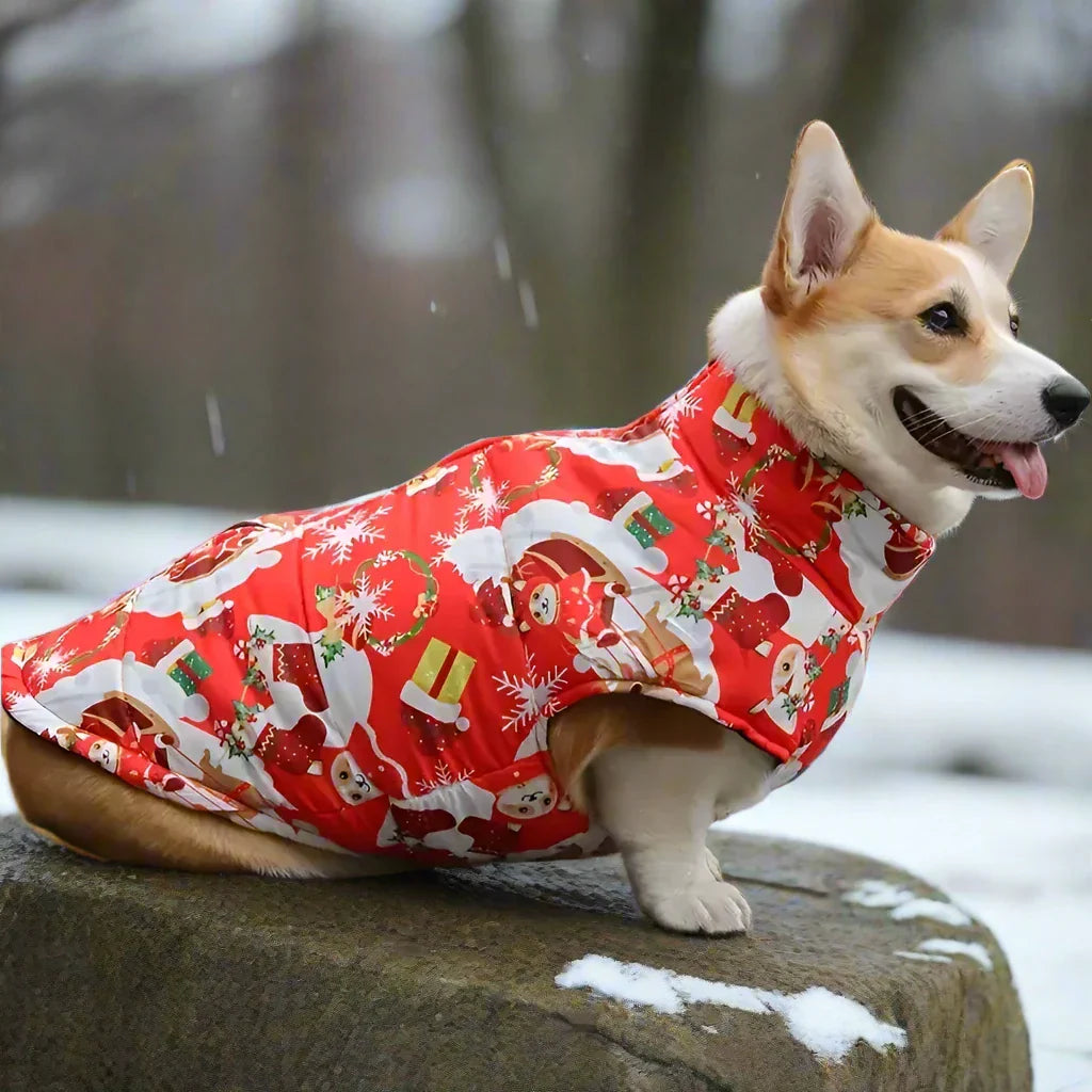 Hundemantel mit Fleecefutter für Winter | Zane