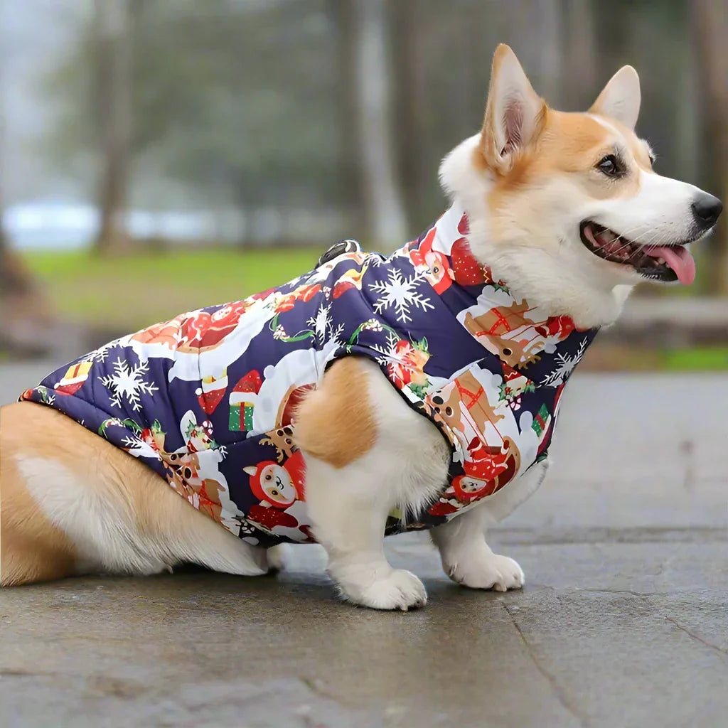 Hundemantel mit Fleecefutter für Winter | Zane