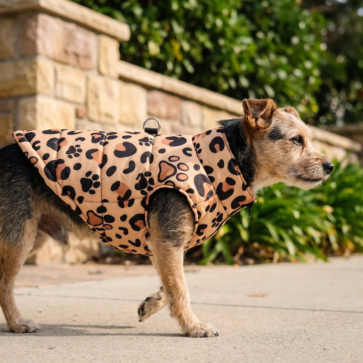 Hundemantel mit Leopardenmuster und Reißverschluss
