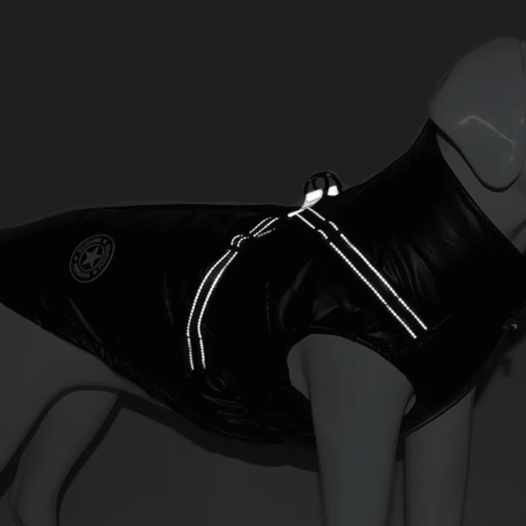 Hundemantel mit wasserabweisendem Stoff für Regen | Silke