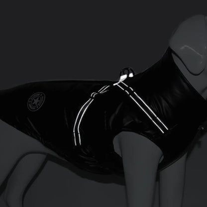 Hundemantel mit wasserabweisendem Stoff für Regen | Silke