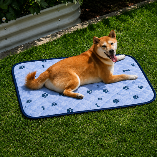 Hundematte Oxford wasserabweisend waschbar fuer Sommer | Oxivaro