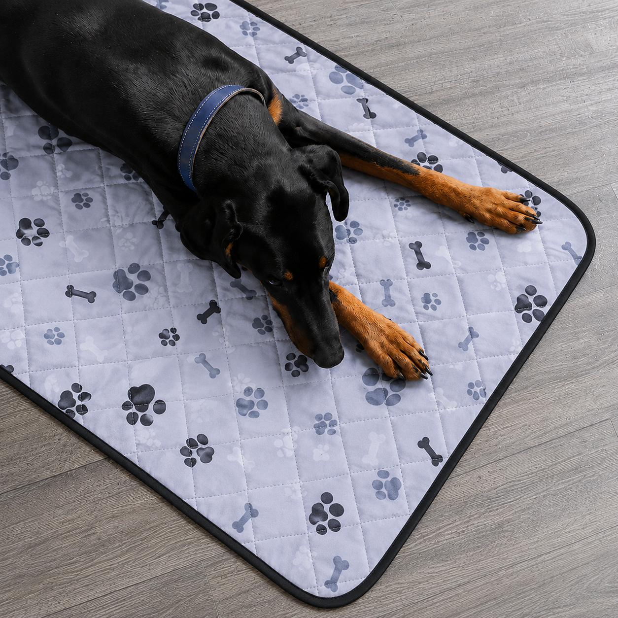 Hundematte Oxford wasserabweisend waschbar fuer Sommer | Oxivaro