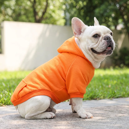 Hundepullover mit Kapuze und Rückentasche