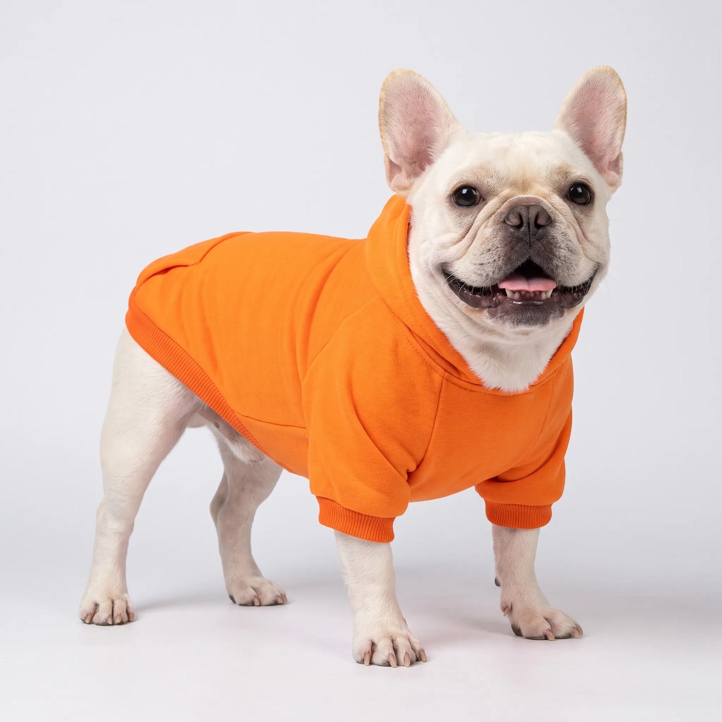 Hundepullover mit Kapuze und Rückentasche