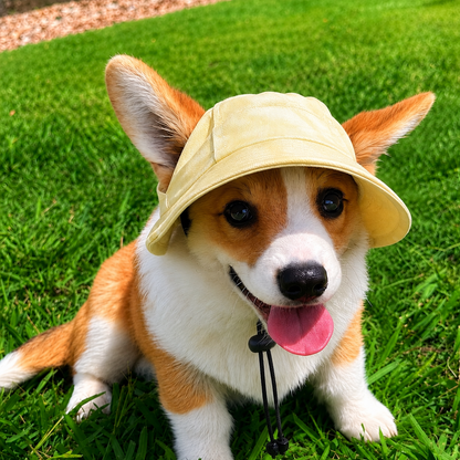 Hundesonnenhut UPF 50+ atmungsaktiv fuer Sommerspaziergaenge | Sonnivo
