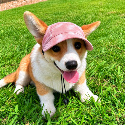 Hundesonnenhut UPF 50+ atmungsaktiv fuer Sommerspaziergaenge | Sonnivo