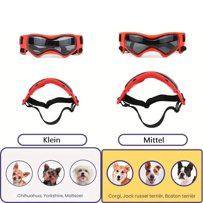 Jack | Hundebrille gegen Schmutz