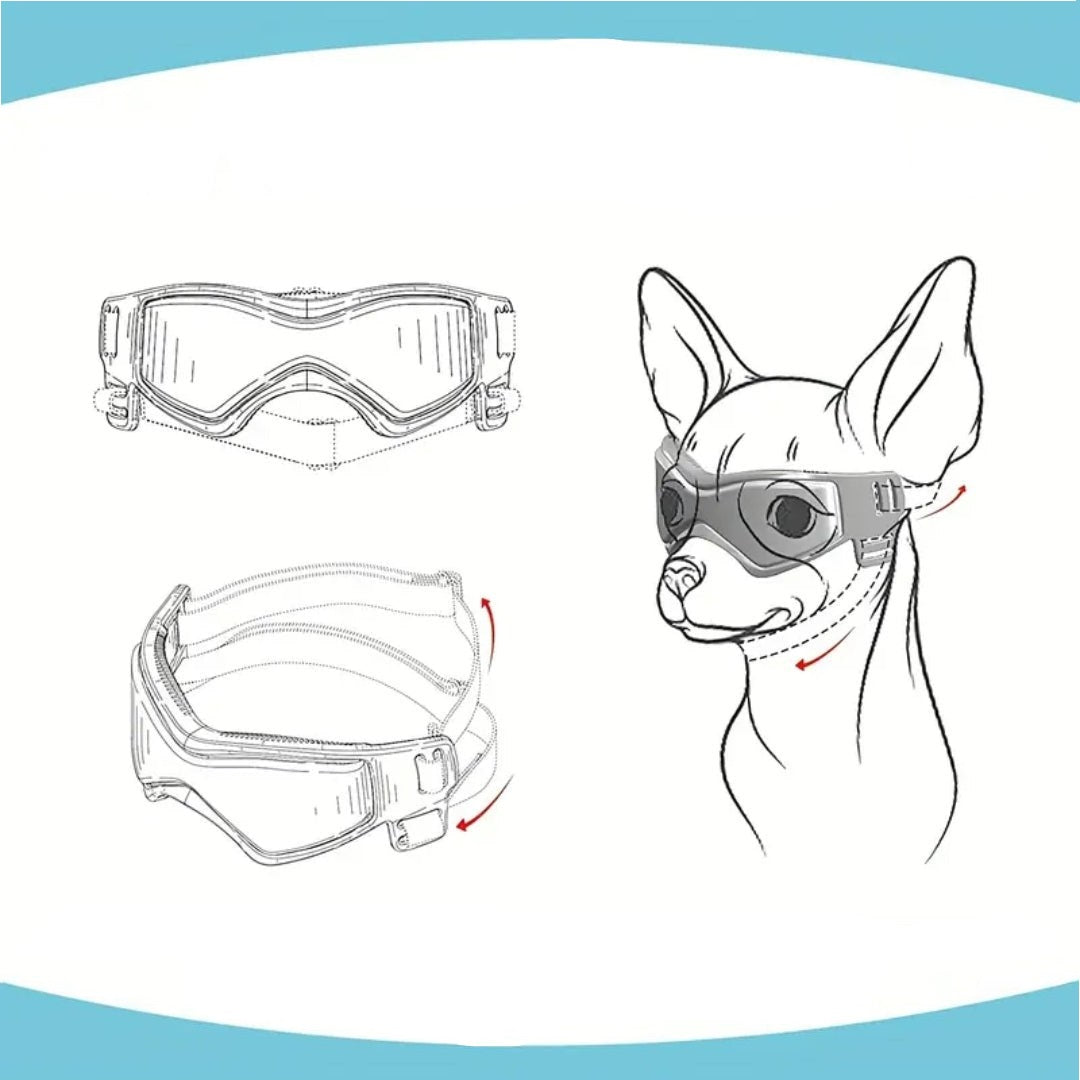 Jack | Hundebrille gegen Schmutz