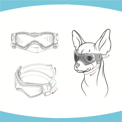 Jack | Hundebrille gegen Schmutz