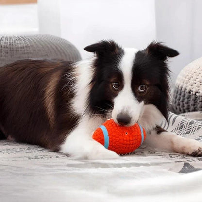 Jasper | Kauball zur Stressreduzierung bei Hunden