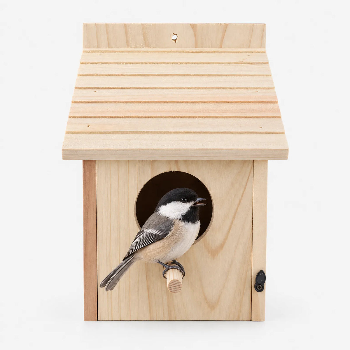 Klassisches Vogelhaus Mit Klappbarer Front