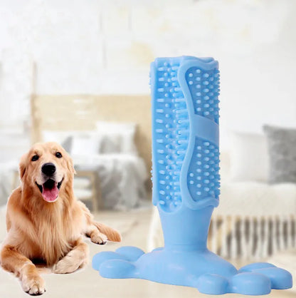 Layla | Zahnbürste für frischen Atem und gesunde Zähne