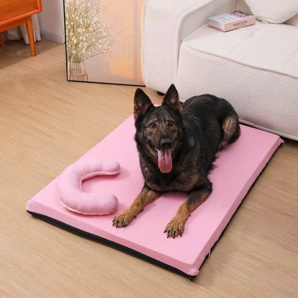 Kühlendes Hundebett mit zweiseitigem Sommerdesign | Zaffo