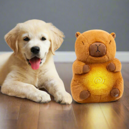 Kuscheltier mit Atem und Ton bei Feuerwerk | Yves