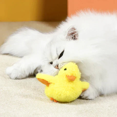 Lucy | Interaktives Enten-Katzenspielzeug