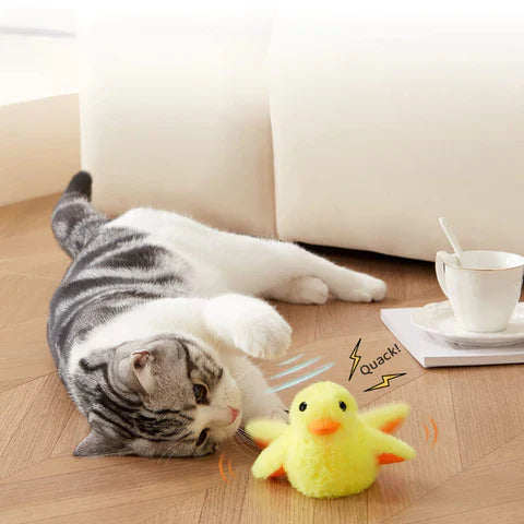 Lucy | Interaktives Enten-Katzenspielzeug