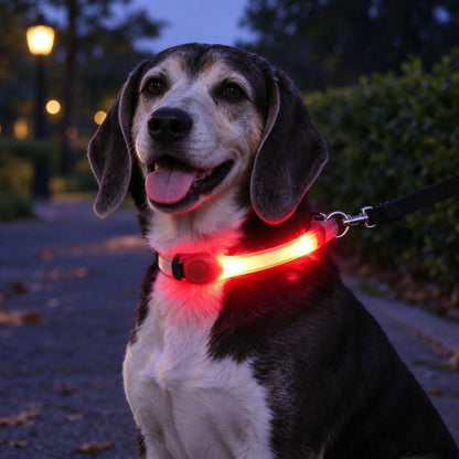 LED Sicherheitsleuchte Für Hunde