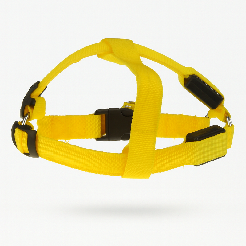 Lasse | USB-Aufladbares LED-Hundegeschirr