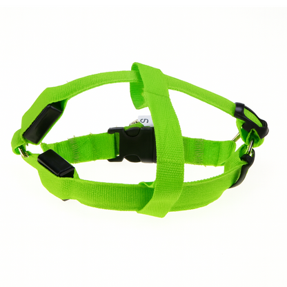 Lasse | USB-Aufladbares LED-Hundegeschirr