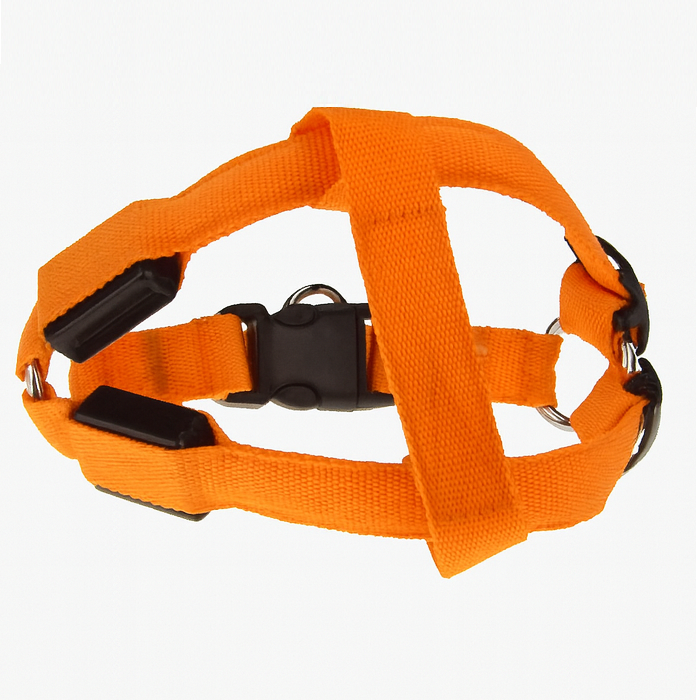 Lasse | USB-Aufladbares LED-Hundegeschirr