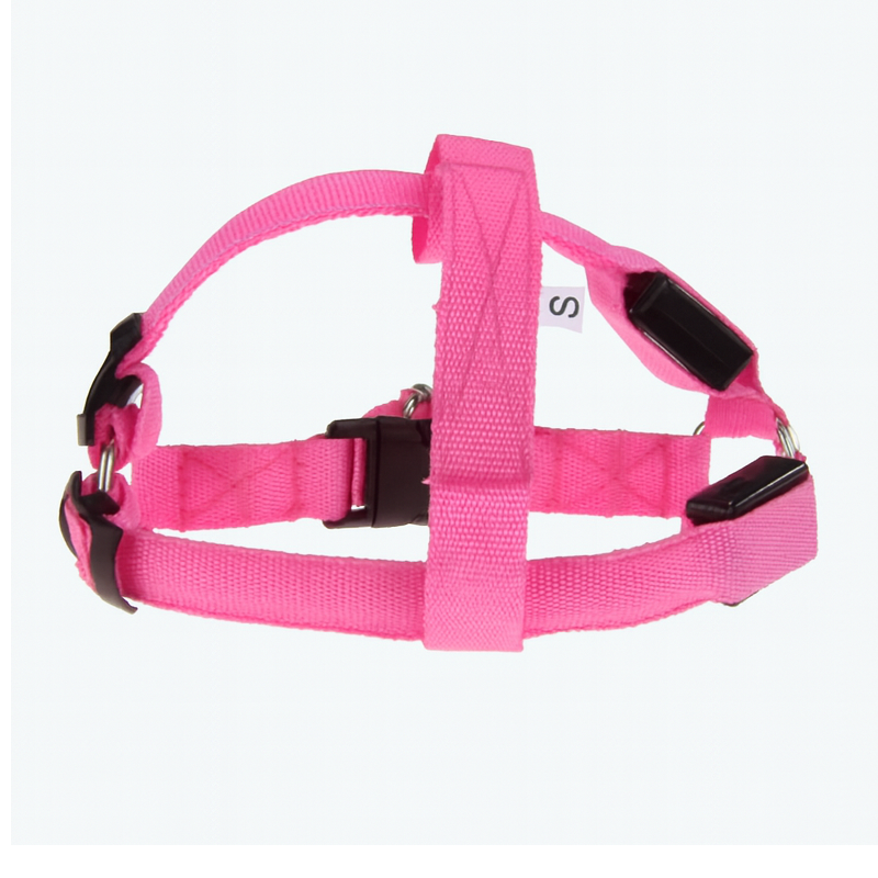 Lasse | USB-Aufladbares LED-Hundegeschirr