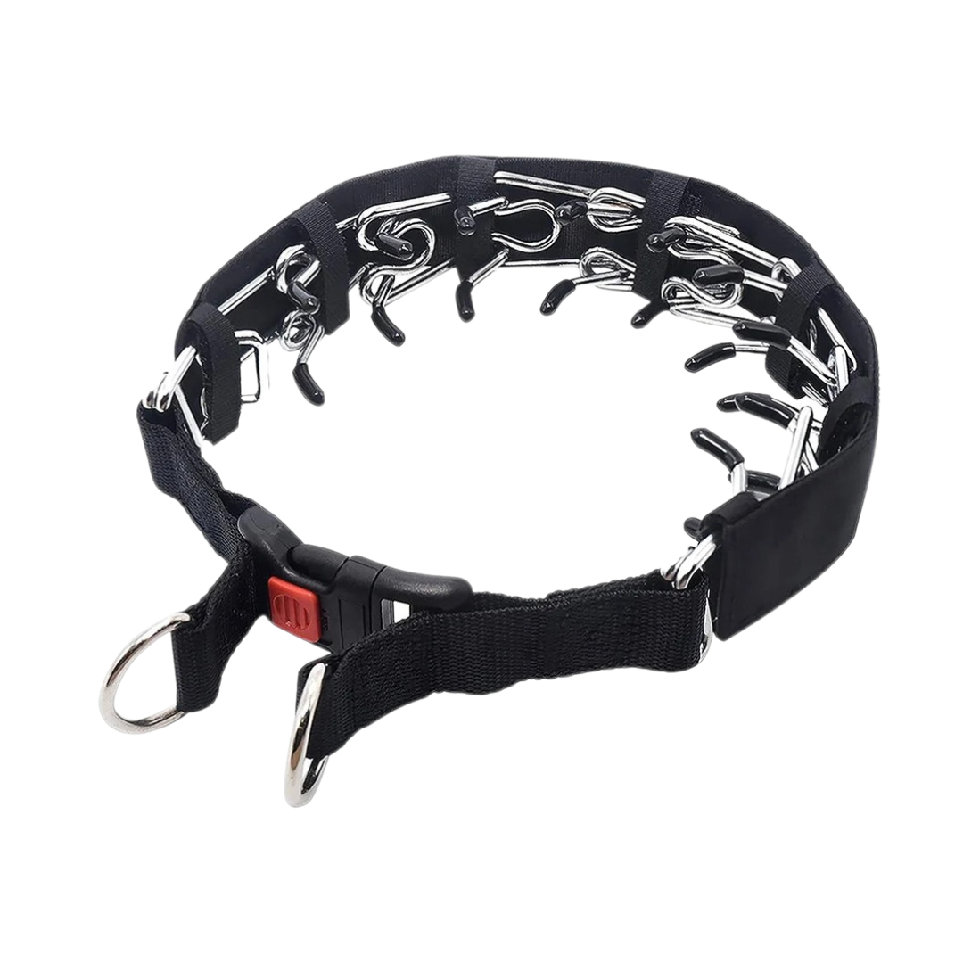 Lenvario | No-Pull Halsband für lockere Leine bei Ablenkung