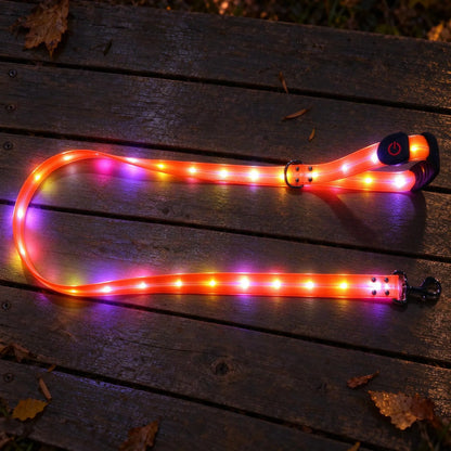 Leuchtende Hundeleine Mit LED Leuchten