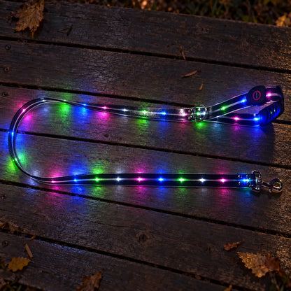 Leuchtende Hundeleine Mit LED Leuchten